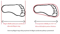 Jak przeliczyć 42 5 rozmiar buta na cm? Odkryj długość stopy