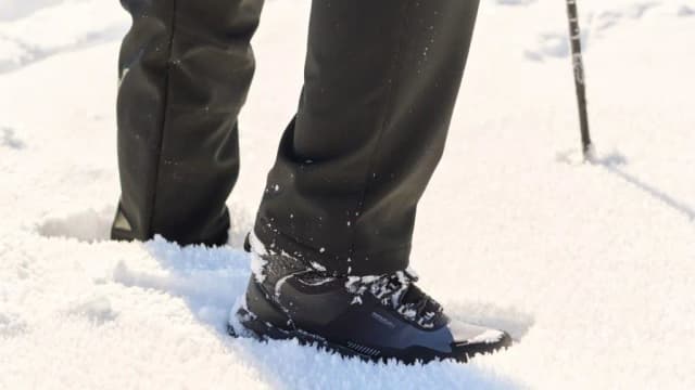 Iguana buty - co to za firma i dlaczego warto je znać?